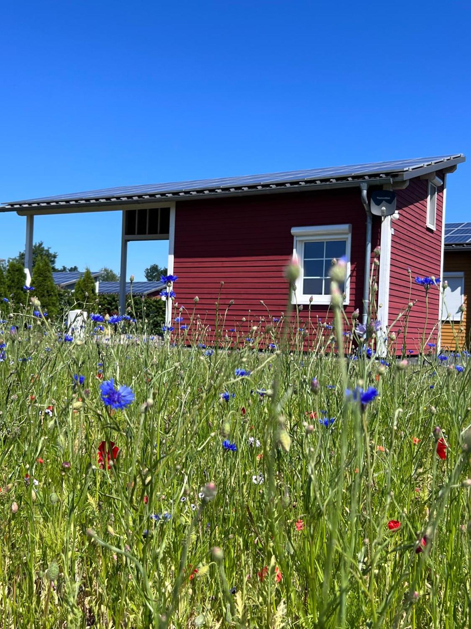 Emsland-Camp 호텔 Haar  외부 사진